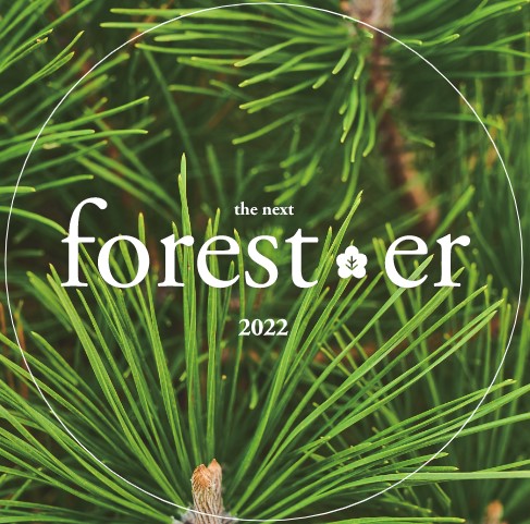 2022 THE NEXT FOREST... 이미지