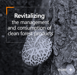 Revitalizing : the management and consumption of clean forest products