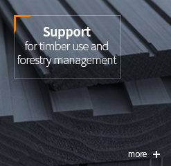 Support : for timber use and forestry management