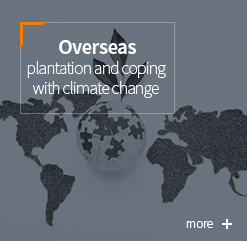 Afforestation : overseas and coping with climate change