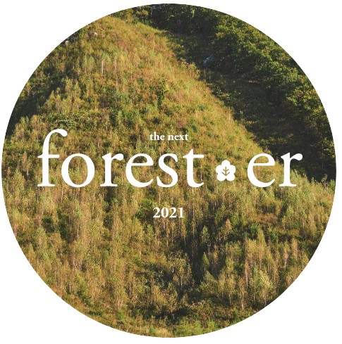 2021 THE NEXT FOREST... 이미지