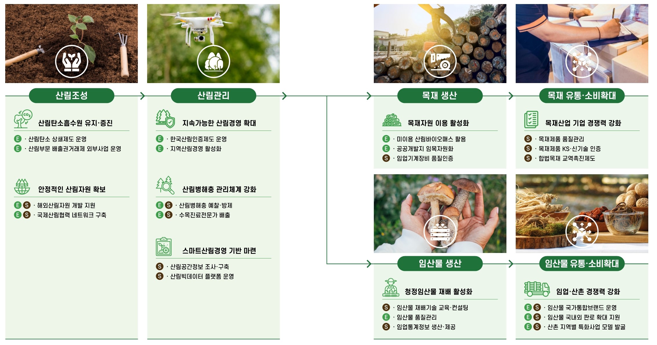 1.조림-산림탄소흡수원 유지.증진:산림탄소상쇄제도 운영, 산림부문 배출권거래제 외부사업 운영/안정적인 산림자원 확보:해외조림 선진기지 구축, 민간기업 해외산림투자 지원 2.숲가꾸기-지속가능한 산림경영 확대:한국산림인증제도 운영, 지역산림경영 활성화/산림병해충 관리체계 강화:산림병해충병 예찰.방제, 소나무재선충병 진단서비스, 수목진료전문가 양성/스마트 산심경영 기반 마련:산림공간정보 조사,구축, 산림빅데이터 플랫폼 운영 3.임산물 재배-청정한 임산물 재배 활성화:산양삼 품질관리 강화, 청정숲푸드 지정.관리/임업인 경영역량 강화:임산물 재배기술 보급.확산, 임업경영 교육.컨설팅 지원, 임업통계정보 생산.제공 4.목재 생산-안전한 산림작업환경 구축:임업기계장비 품질인증, 산림작업자 안전교육 제공/목재자원 이용 활성화:미이용 산림바이오매스 활용, 공공개발지 임목자원화, 수입목재 벌채 합법성 검증 5.가공.유통-임산물 유통.소비 확대:임산물 국가통합브랜드 운영, 임산물 국내외 판로확대 지원/목재산업 기업 경쟁력 강화:목재재품 KS.신기술 인증, 목재제품 품질관리 강화, 목재기업 온실가스 감축 지원/양질의 산촌.산림 일자리 창출:산촌공동체 활성화 지원, 산림분야 사회적경제기업 육성, 산림일자리발전소 운영