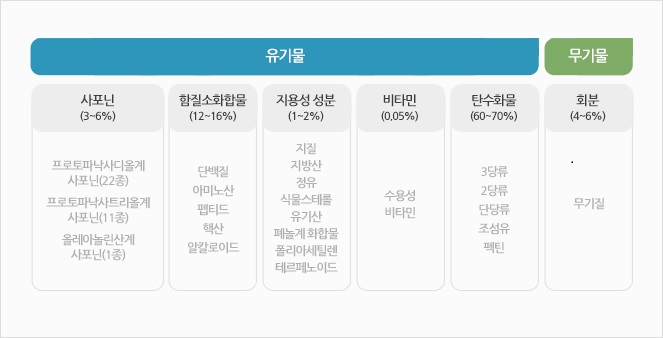 1. 유기물 1-1. 사포닌(3~6%) 프로토파낙사디올계 사포닌(22종), 프로토파낙사트리올계 사포닌(11종), 올레아놀린산계 사포닌(1종) 1-2. 함질소화합물(12~16%) 단백질, 아미노산, 펩티드, 핵산, 알칼로이드 1-3. 지용성 성분(1~2%) 지질, 지방산, 정유, 식물스테롤, 유기산, 페놀계 화합물, 폴리아세틸렌, 테르페노이드 1-4. 비타민(0.05%) 수용성 비타민 1-5. 탄수화물(60~70%) 3당류, 2당류, 단당류, 조섬유, 펙틴 2. 무기물 2-1. 화분(4~6%) 무기질