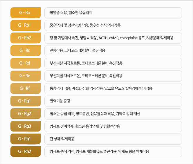 1. G-Ro 1-1. í­ì¼ì¦ ìì©, íìí ìì§ìµì  2. G-Rb1 2-1. ì¤ì¶ìµì  ë° ì ì ìì  ìì©. ì¤ì¶ì± ì­ì ìµì ìì© 3. G-Rb2 3-1. ë¹ ë° ì§ë°©ëì¬ ì´ì§, í­ë¹ë¨ ìì©, ACTH, cAMP, epinephrine ì ë, ì§ë°©ë¶í´ ìµì ìì© 4. G-Rc 4-1. ì§íµìì©, ì½í°ì½ì¤íë¡  ë¶ë¹ ì´ì§ìì© 5. G-Rb 5-1. ë¶ì í¼ì§ ìê·¹í¸ë¥´ëª¬, ì½í°ì½ì¤íë¡  ë¶ë¹ ì´ì§ìì© 6. G-Re 6-1. ë¶ì í¼ì§ ìê·¹í¸ë¥´ëª¬, ì½í°ì½ì¤íë¡  ë¶ë¹ ì´ì§ìì© 7. G-Rf 7-1. íµì¦ìµì  ìì©, ì§ì§í ì°í ìµì ìì©, ìì½ì¬ ì ë ëë°ì¡ì¥í´ ë°©ì´ìì© 8. G-Rg1 8-1. ë©´ì­ê¸°ë¥ ì¦ê° 9. G-Rg2 9-1. íìí ìì§ ìµì , í­í¸ë¡¬ë¹, ì ì©íì±í ìì©, ê¸°ìµë ¥ ê°í´ ê°ì  G-Rg3 10-1. íìí ìì§ ìµì , í­í¸ë¡¬ë¹, ì ì©íì±í ìì©, ê¸°ìµë ¥ ê°í´ ê°ì  G-Rh1 11-1. ê° ìí´ ìµì ìì© G-Rh2 12-1.ìì¸í¬ ì¦ì ìµì , ìì¸í¬ ì ë¶íì ë ì´ì§ìì©, ìì¸í¬ ì¹¨ì¤ ìµì ìì©