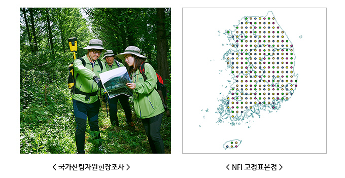 〈국가산림자원현장조사〉〈NFI 표본점 분포〉
