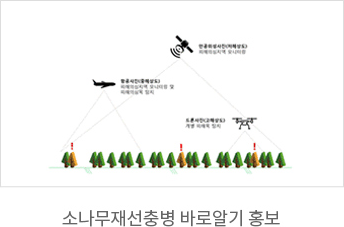 소나무재선충병 바로알기 홍보