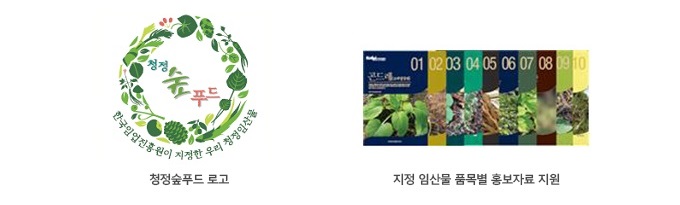 좌 : 청정숲푸드 로고 , 우 : 지정 임산물 품목별 홍보자료 지원